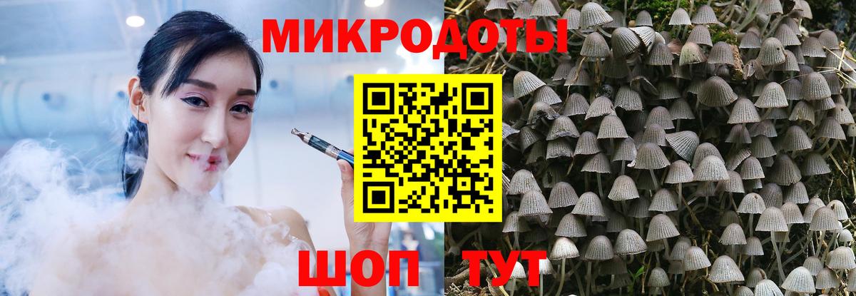 Псилоцибиновые грибы мухоморы  Вход с VPN  Верхняя Пышма 